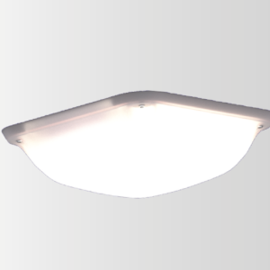 Enduralux LED Bulkhead