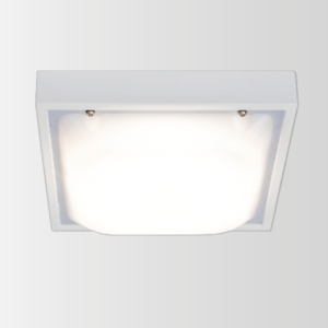 Enduralux T LED Bulkhead