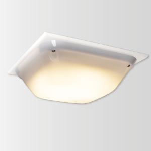 Enduralux X LED Bulkhead