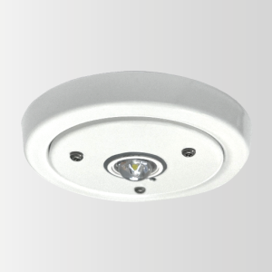 Guardalux Recessed Emergency Light Anti-Ligature