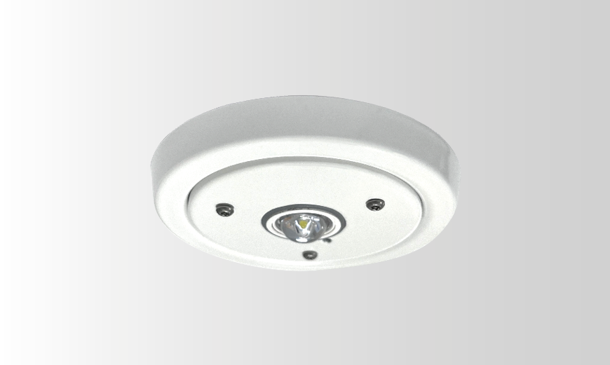 Guardalux Recessed Emergency Light Anti-Ligature