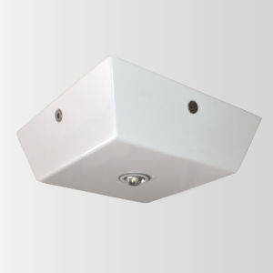 Guardalux Emergency Light Anti-Ligature