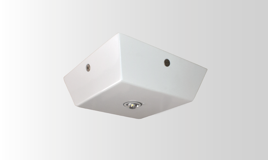 Guardalux Emergency Light Anti-Ligature