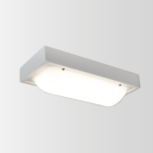 Guardalux Bulkhead Emergency Light